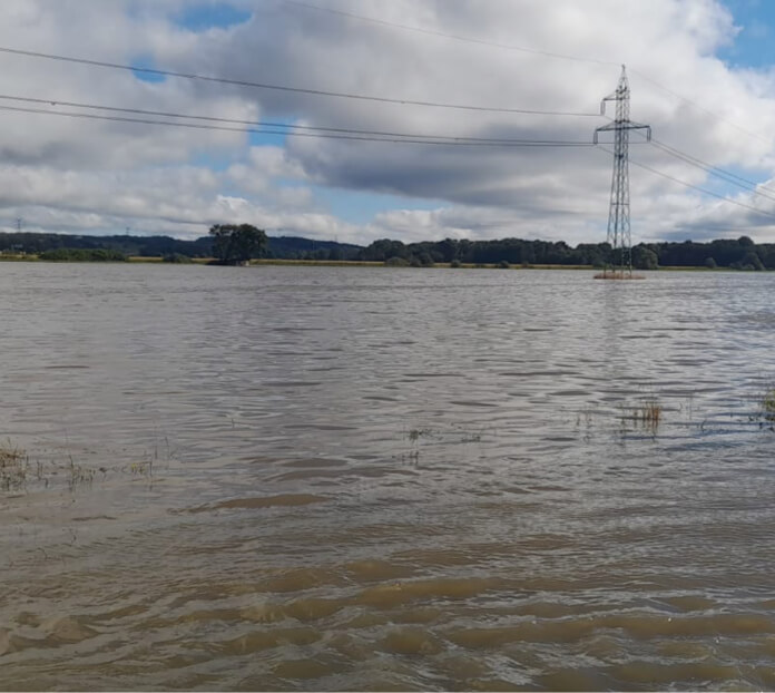 ...